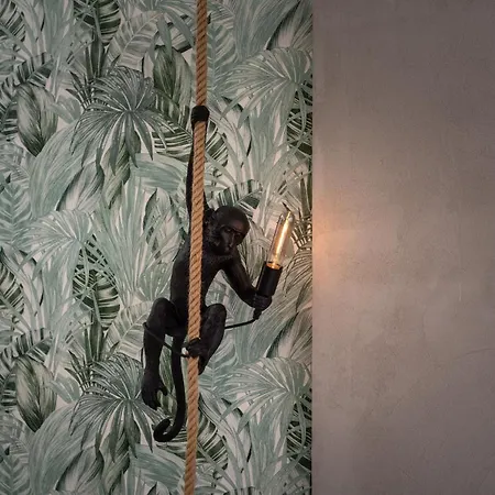 Coco By Agm פוארטו דל כרמן