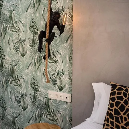 Coco By Agm فيلة بويرتو ذيل كارمين